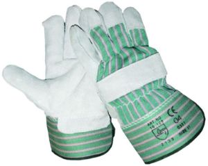 Afbeelding - majestic-1644907-jpg